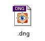 DNG