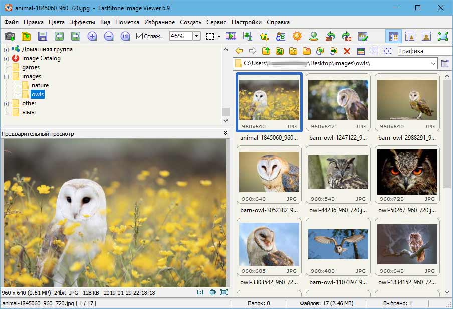 FastStone Image Viewer обзор слева